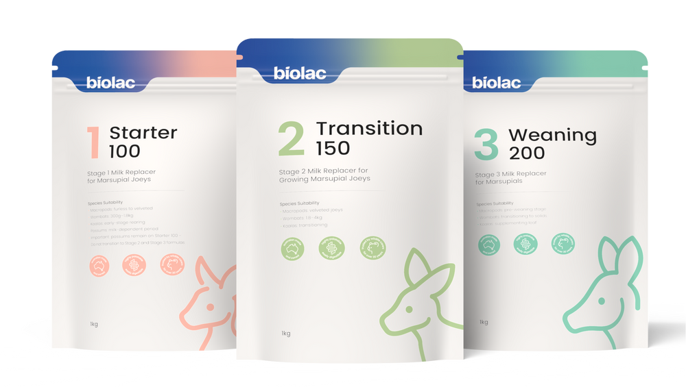 Three Biolac pet food packages labeled 'Starter 100', 'Transition 150', and 'Weaning 200' on a white background.