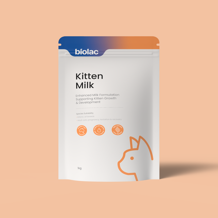 Kitten milk powder package with 'biolac' branding on a peach background